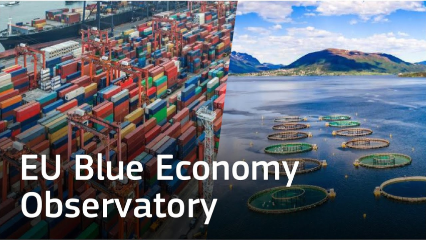 EU Blue Economy Observatory